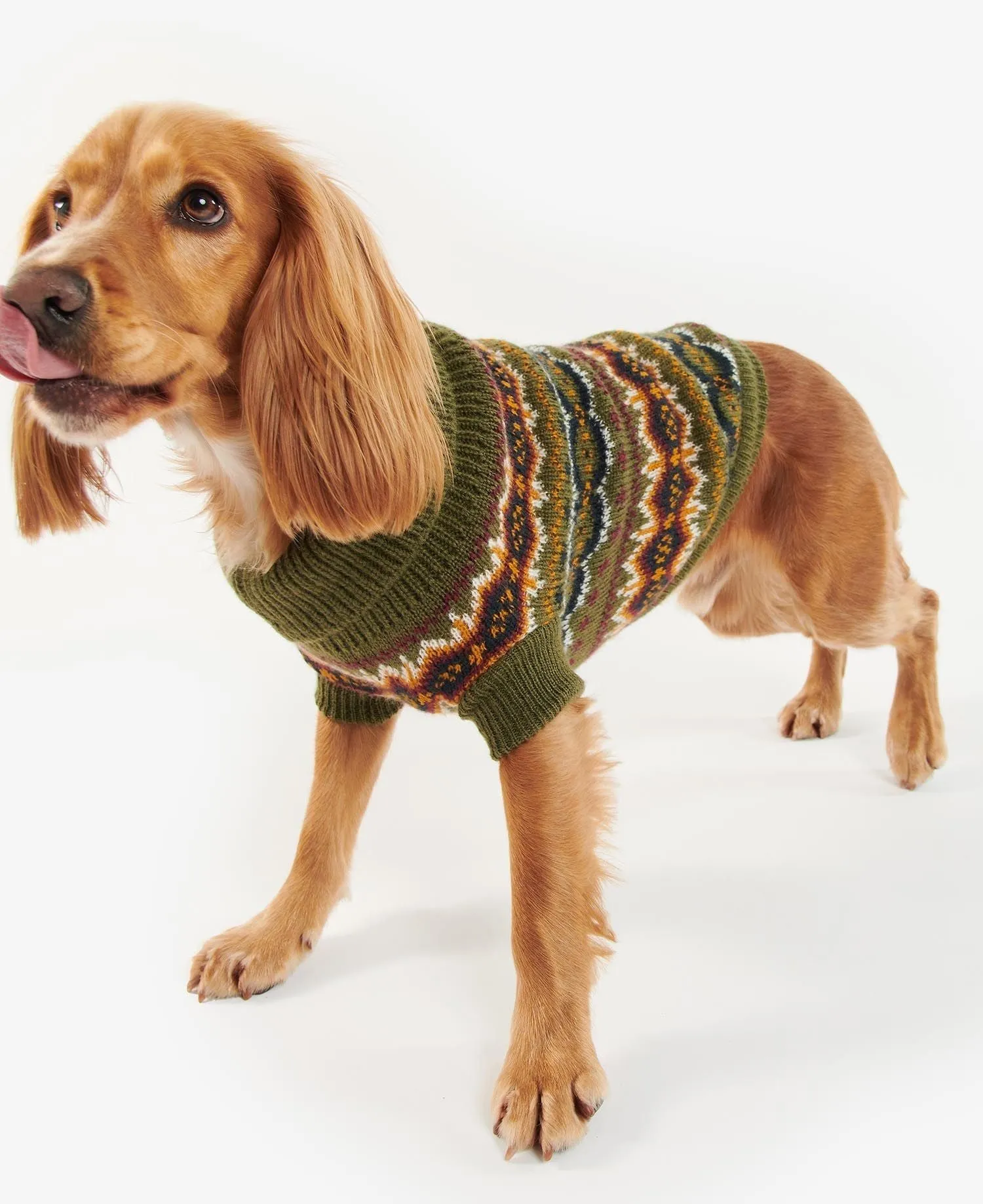 Case Fair Isle Dog Jumper - Olive