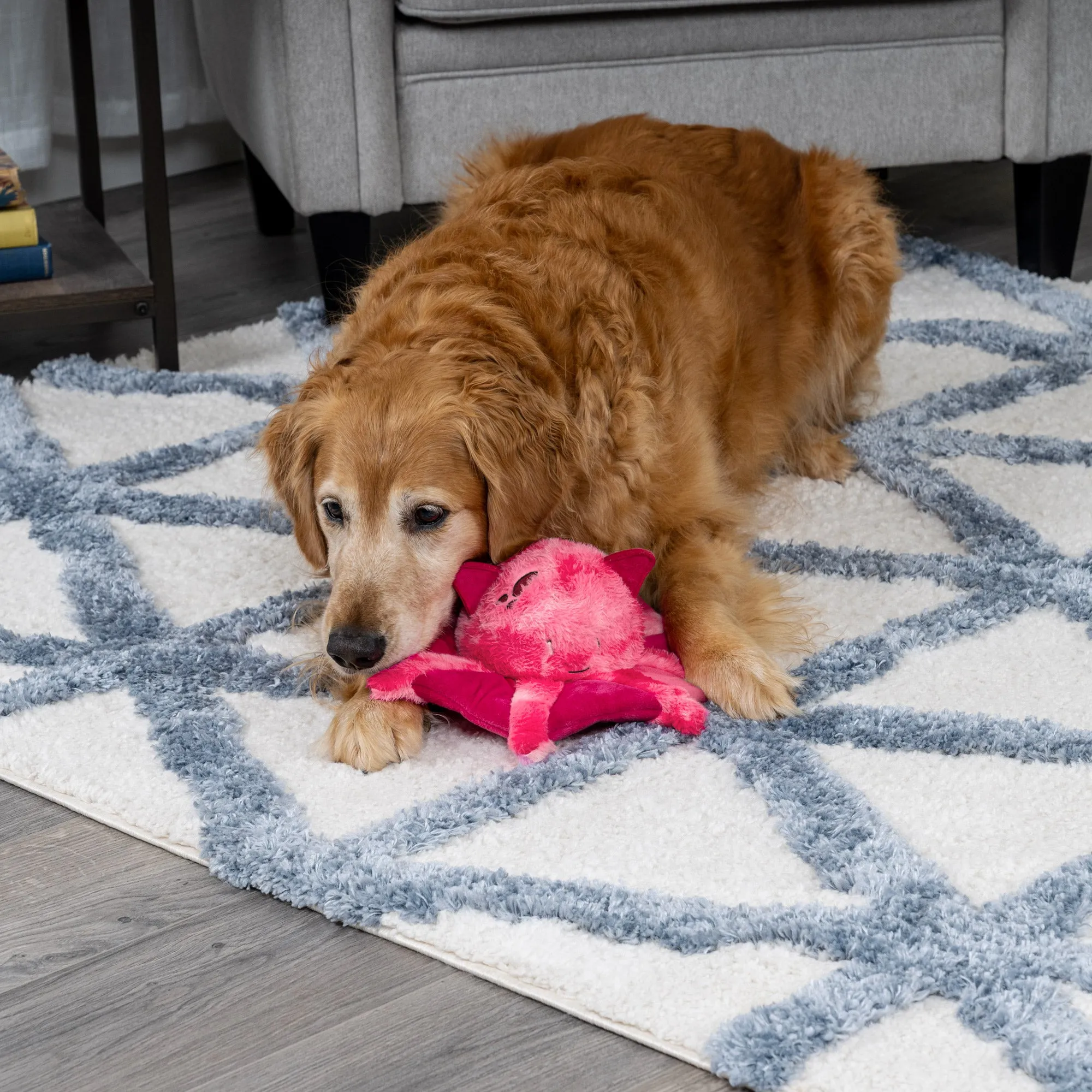 Crinkle Plush Dog Toy - Kraken the Vampire Squid