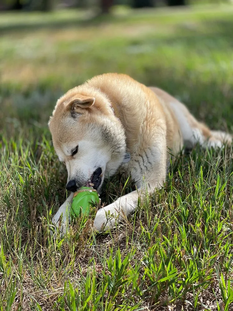 Gnome Durable PUP-X  Rubber eDispenser Chew Toy & Treat Dispenser