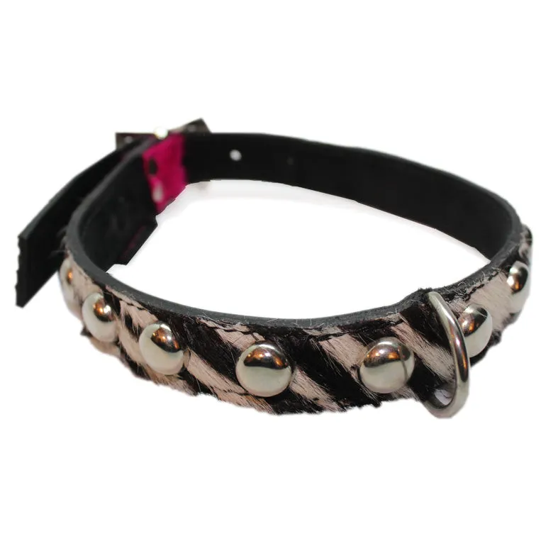 Medium Pet Collar