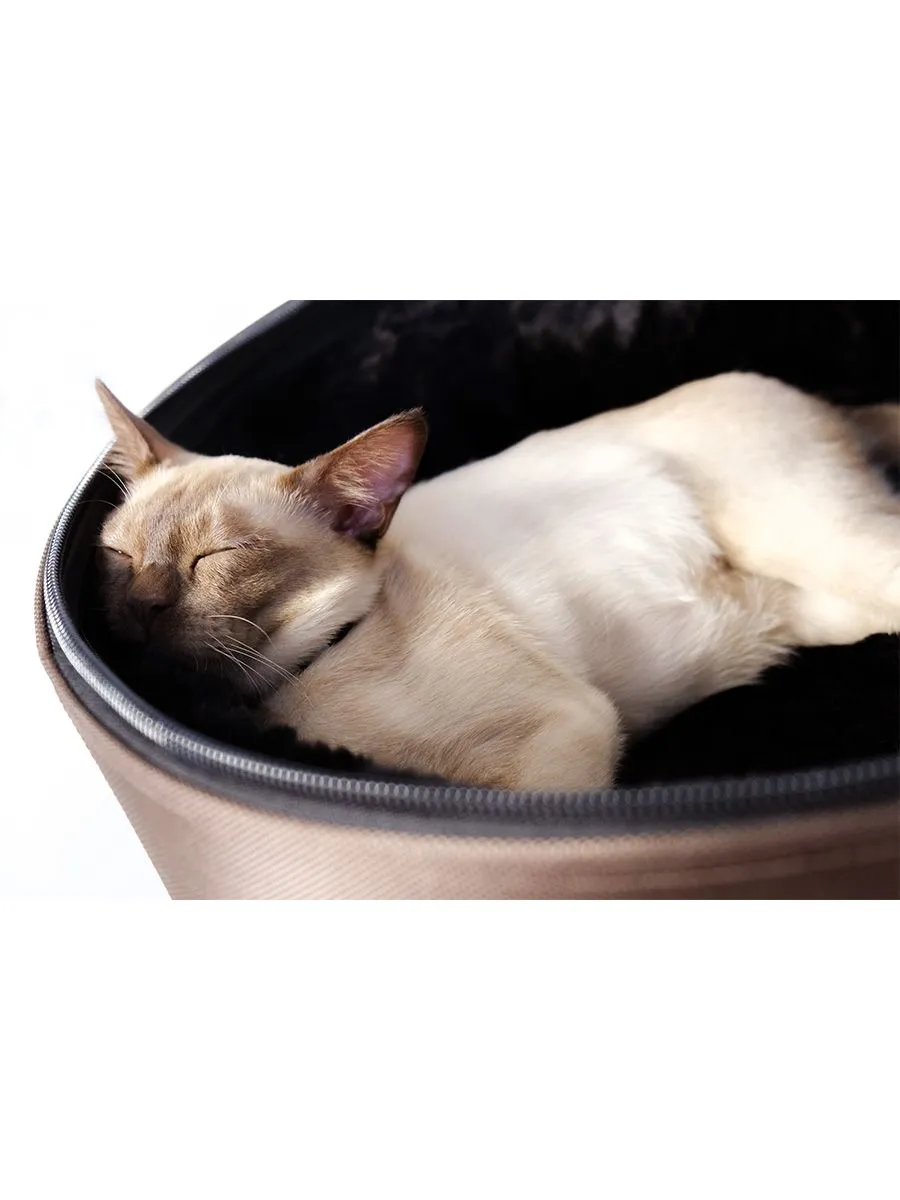 Mobile Pet Bed